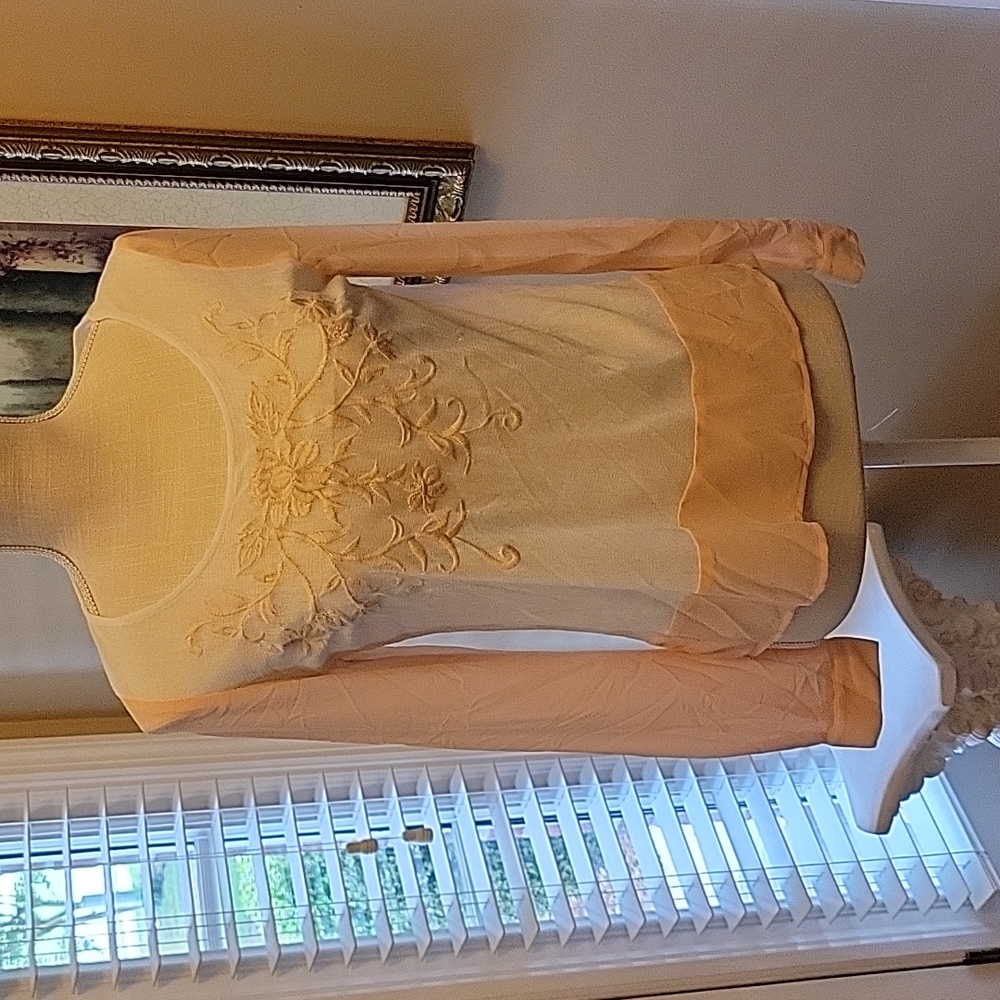 Flying Tomato white pale peach embroidered floral semi sheer long slv top M EUC…